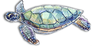 popUp-turtle